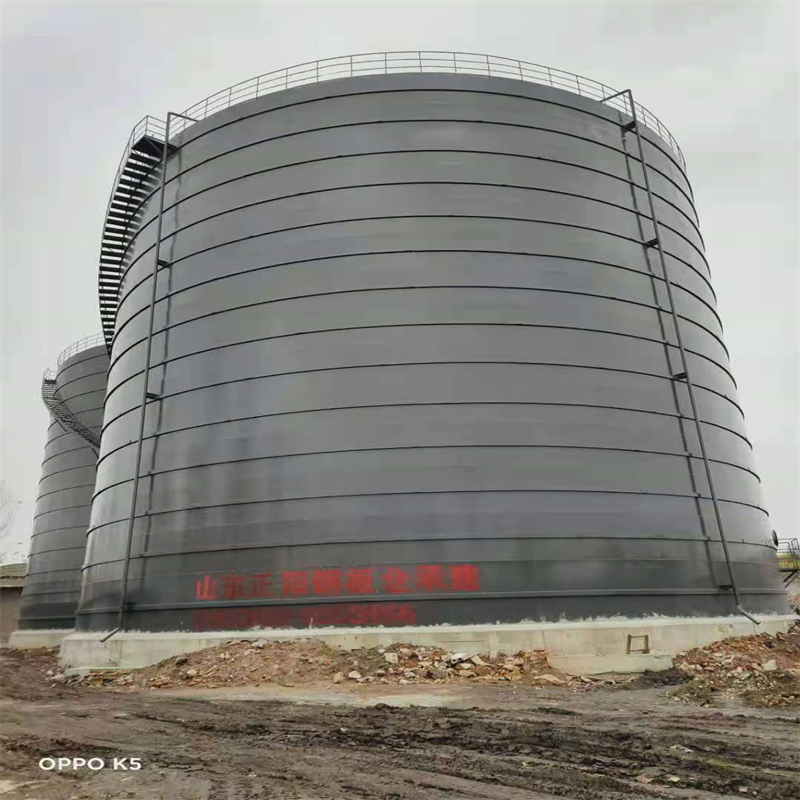 东辽3万吨大型钢板库