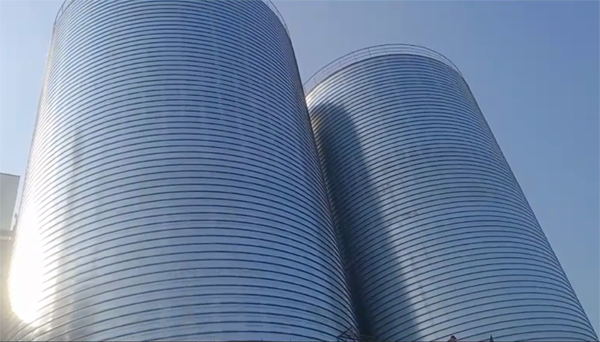 东辽2座混凝土高架卷板仓